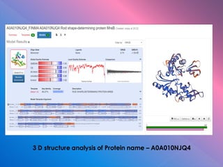 3 D structure analysis of Protein name – A0A010NJQ4
 
