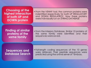 • From the VENNY tool, the common proteins were
indentified respectively for both UP REGULATORY
and DOWN REGULATROY. Now these proteins
were individually run on STRING DATABASE
Choosing of the
highest interaction
of both UP and
DOWN protein
• From the Interpro Database, Similar 10 proteins of
the same family were identified and their
sequences were saved.
Finding of similar
proteins of the
same family
• Full-length coding sequences of the 10 genes
were retrieved. Their peptide sequences were
predicted using the online server of “Emboss.
Sequences and
Database Search
 