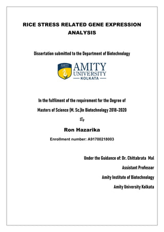 RICE STRESS RELATED GENE EXPRESSION
ANALYSIS
Dissertation submitted to the Department of Biotechnology
In the fulfilment of the requirement for the Degree of
Masters of Science (M. Sc.)In Biotechnology 2018-2020
By
Ron Hazarika
Enrollment number: A91700218003
Under the Guidance of: Dr. Chittabrata Mal
Assistant Professor
Amity Institute of Biotechnology
Amity University Kolkata
 