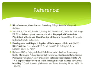 submergence tolerance in rice - sub 1 | PPTX