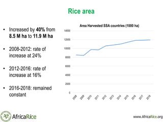Rice area
• Increased by 40% from
8.5 M ha to 11.9 M ha
• 2008-2012: rate of
increase at 24%
• 2012-2016: rate of
increase...