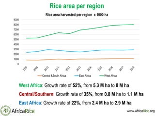 Rice area per region
West Africa: Growth rate of 52%, from 5.3 M ha to 8 M ha
Central/Southern: Growth rate of 35%, from 0...