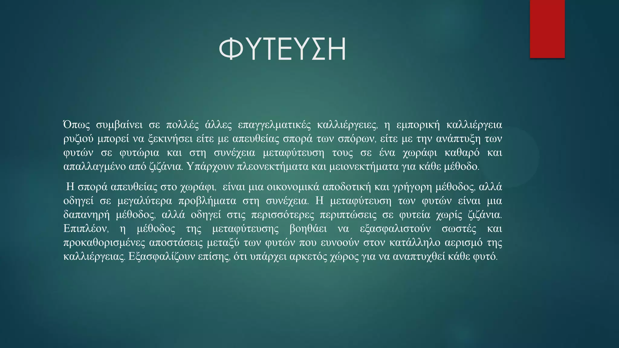 ΦΥΤΕΥΣΗ
Όπως συμβαίνει σε πολλές άλλες επαγγελματικές καλλιέργειες, η εμπορική καλλιέργεια
ρυζιού μπορεί να ξεκινήσει είτε με απευθείας σπορά των σπόρων, είτε με την ανάπτυξη των
φυτών σε φυτώρια και στη συνέχεια μεταφύτευση τους σε ένα χωράφι καθαρό και
απαλλαγμένο από ζιζάνια. Υπάρχουν πλεονεκτήματα και μειονεκτήματα για κάθε μέθοδο.
Η σπορά απευθείας στο χωράφι, είναι μια οικονομικά αποδοτική και γρήγορη μέθοδος, αλλά
οδηγεί σε μεγαλύτερα προβλήματα στη συνέχεια. Η μεταφύτευση των φυτών είναι μια
δαπανηρή μέθοδος, αλλά οδηγεί στις περισσότερες περιπτώσεις σε φυτεία χωρίς ζιζάνια.
Επιπλέον, η μέθοδος της μεταφύτευσης βοηθάει να εξασφαλιστούν σωστές και
προκαθορισμένες αποστάσεις μεταξύ των φυτών που ευνοούν στον κατάλληλο αερισμό της
καλλιέργειας. Εξασφαλίζουν επίσης, ότι υπάρχει αρκετός χώρος για να αναπτυχθεί κάθε φυτό.
 