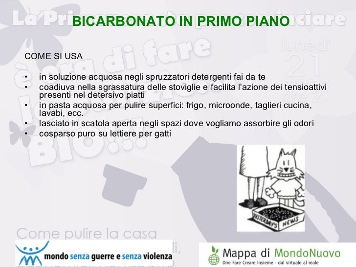 Lettiere per gatti prezi presentation