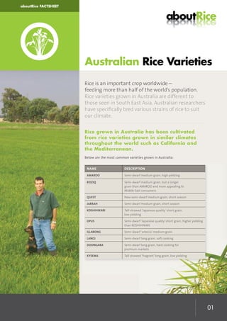 01
Rice is an important crop worldwide –
feeding more than half of the world’s population.
Rice varieties grown in Australia are different to
those seen in South East Asia. Australian researchers
have speciﬁcally bred various strains of rice to suit
our climate.
Rice grown in Australia has been cultivated
from rice varieties grown in similar climates
throughout the world such as California and
the Mediterranean.
Below are the most common varieties grown in Australia:
Australian Rice Varieties
NAME DESCRIPTION
AMAROO Semi-dwarf medium grain, high yielding
REIZIQ Semi-dwarf medium grain, but a longer
grain than AMAROO and more appealing to
Middle East consumers
QUEST New semi-dwarf medium grain, short season
JARRAH Semi-dwarf medium grain, short season
KOSHIHIKARI Tall-strawed ‘Japanese quality’ short grain,
low yielding
OPUS Semi-dwarf ‘Japanese quality’ short grain, higher yielding
than KOSHIHIKARI
ILLABONG Semi-dwarf ‘arborio’ medium grain
LANGI Semi-dwarf long grain, soft cooking
DOONGARA Semi-dwarf long grain, hard cooking for
premium markets
KYEEMA Tall strawed ‘fragrant’ long grain, low yielding
aboutRice FACTSHEET
 