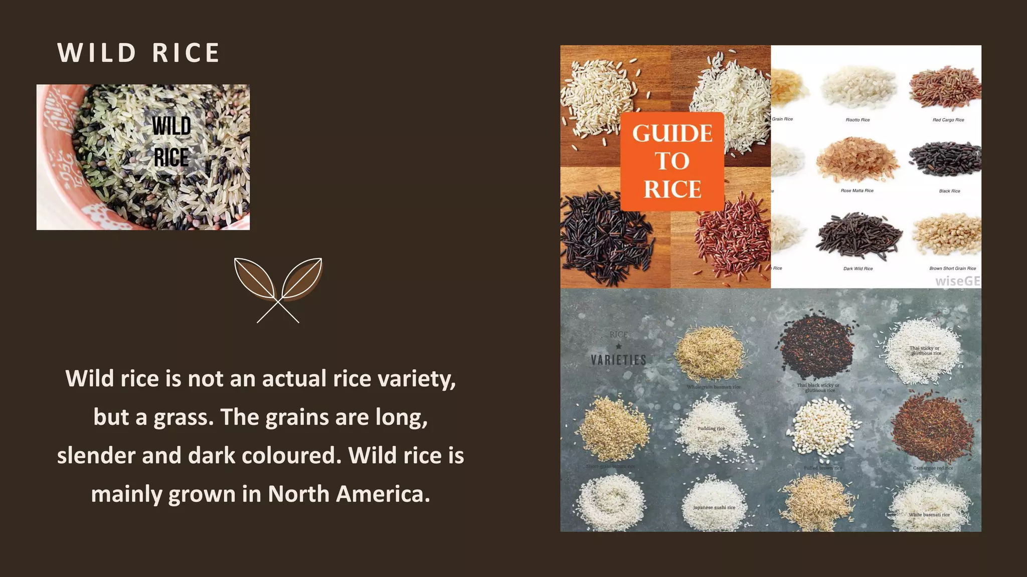 WILD RICE
Wild rice is not an actual rice variety,
but a grass. The grains are long,
slender and dark coloured. Wild rice is
mainly grown in North America.
 