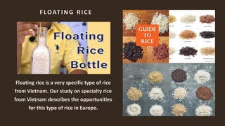 Rice varieties | PDF