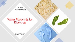 Water Footprints for
Rice crop
KAAVIYAAV
AGRI -
INFORMATICS
 