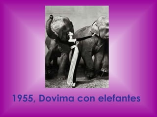 1955, Dovima con elefantes   