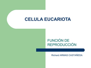 CELULA EUCARIOTA
FUNCIÓN DE
REPRODUCCIÓN
Richard ARMAS CASTAÑEDA
 