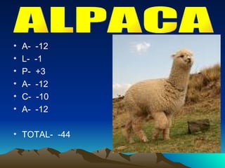 A-  -12 L-  -1 P-  +3 A-  -12 C-  -10 A-  -12 TOTAL-  -44 ALPACA 