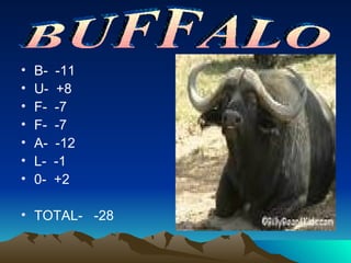 B-  -11 U-  +8 F-  -7 F-  -7 A-  -12 L-  -1 0-  +2 TOTAL-  -28 BUFFALO 