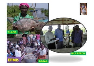 Using ICT for fish marketing: The EFMIS model in Kenya