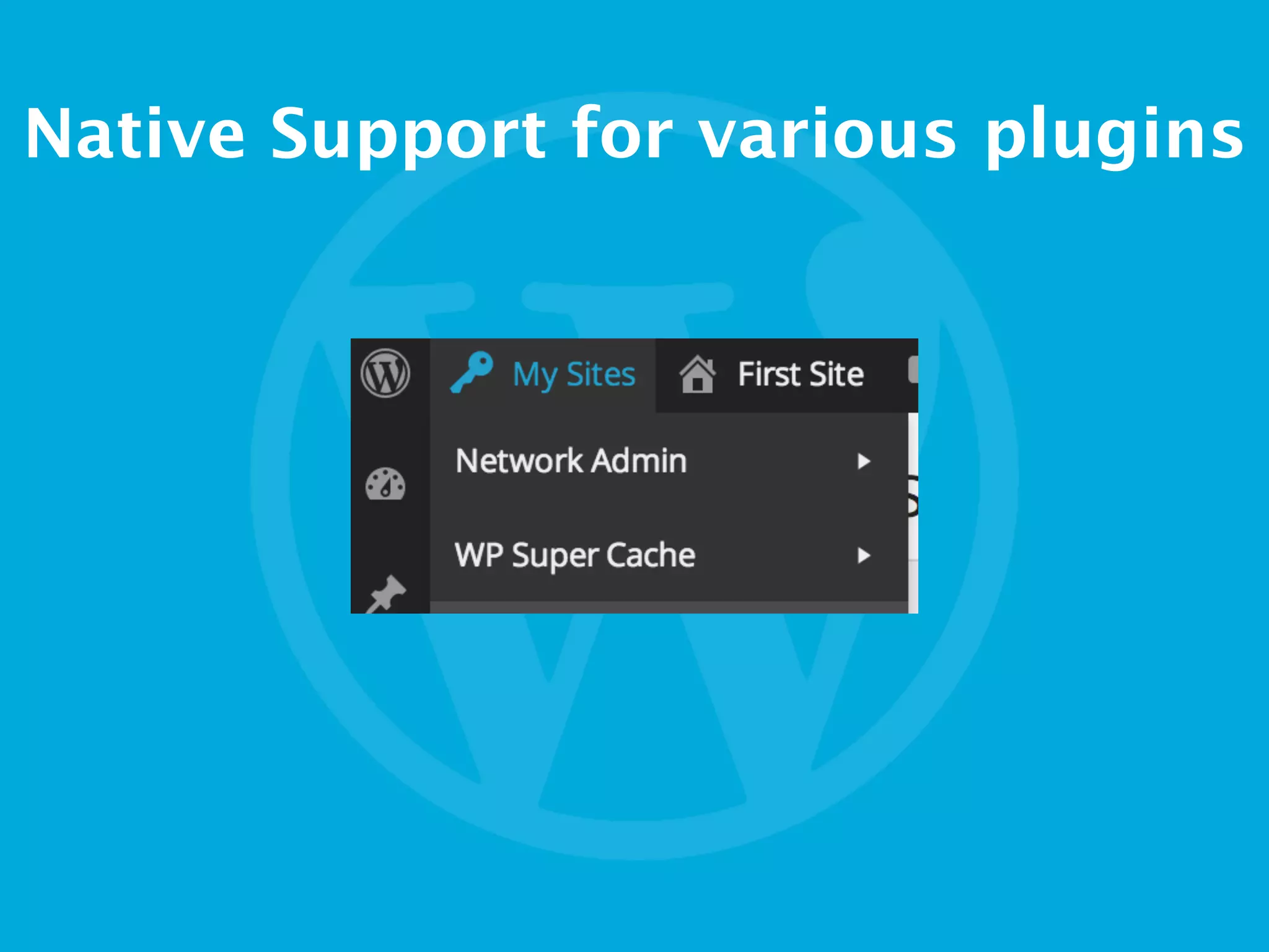Native Support for various plugins
 