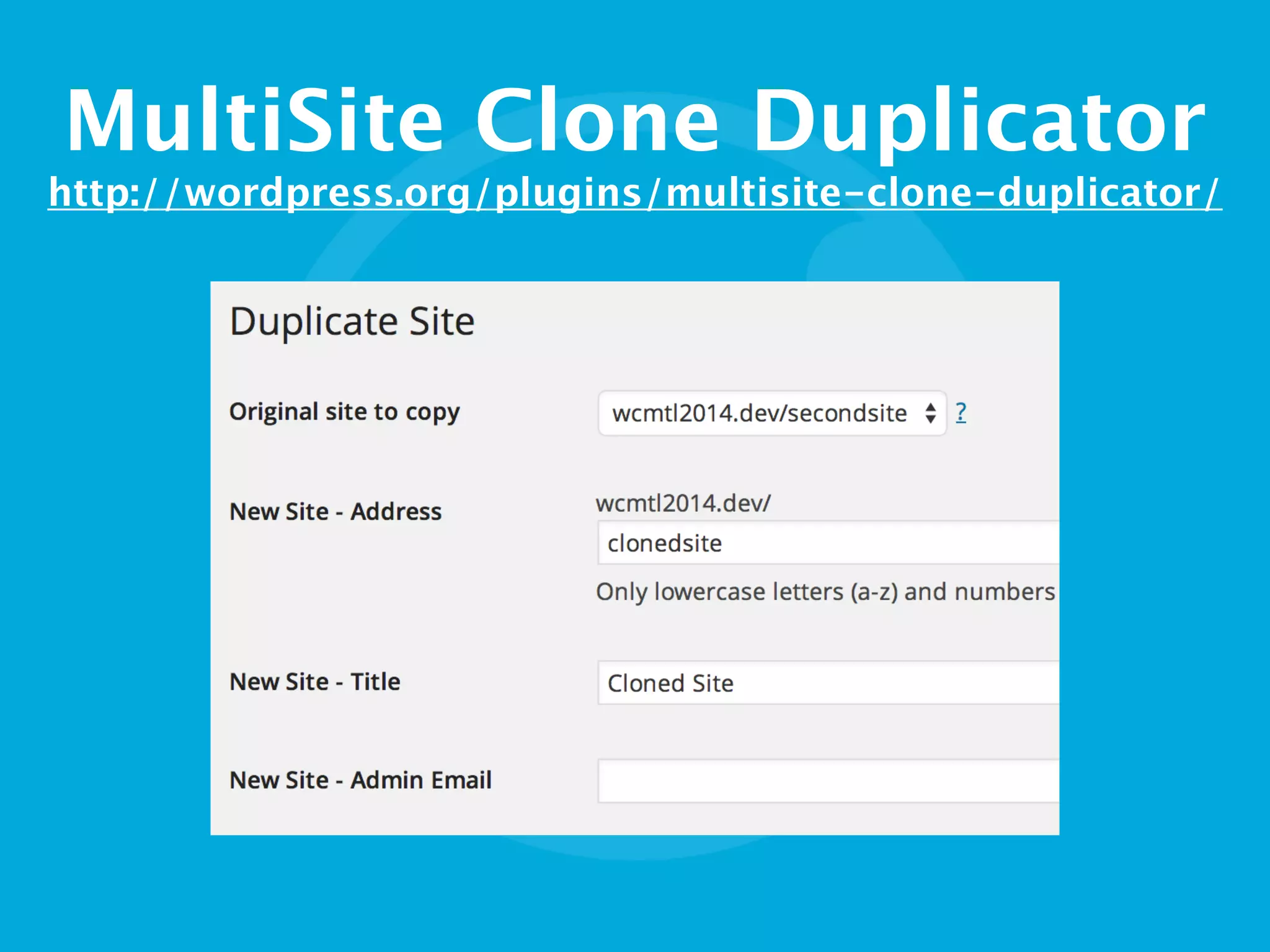 MultiSite Clone Duplicator
http://wordpress.org/plugins/multisite-clone-duplicator/
 
