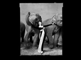 Richard Avedon