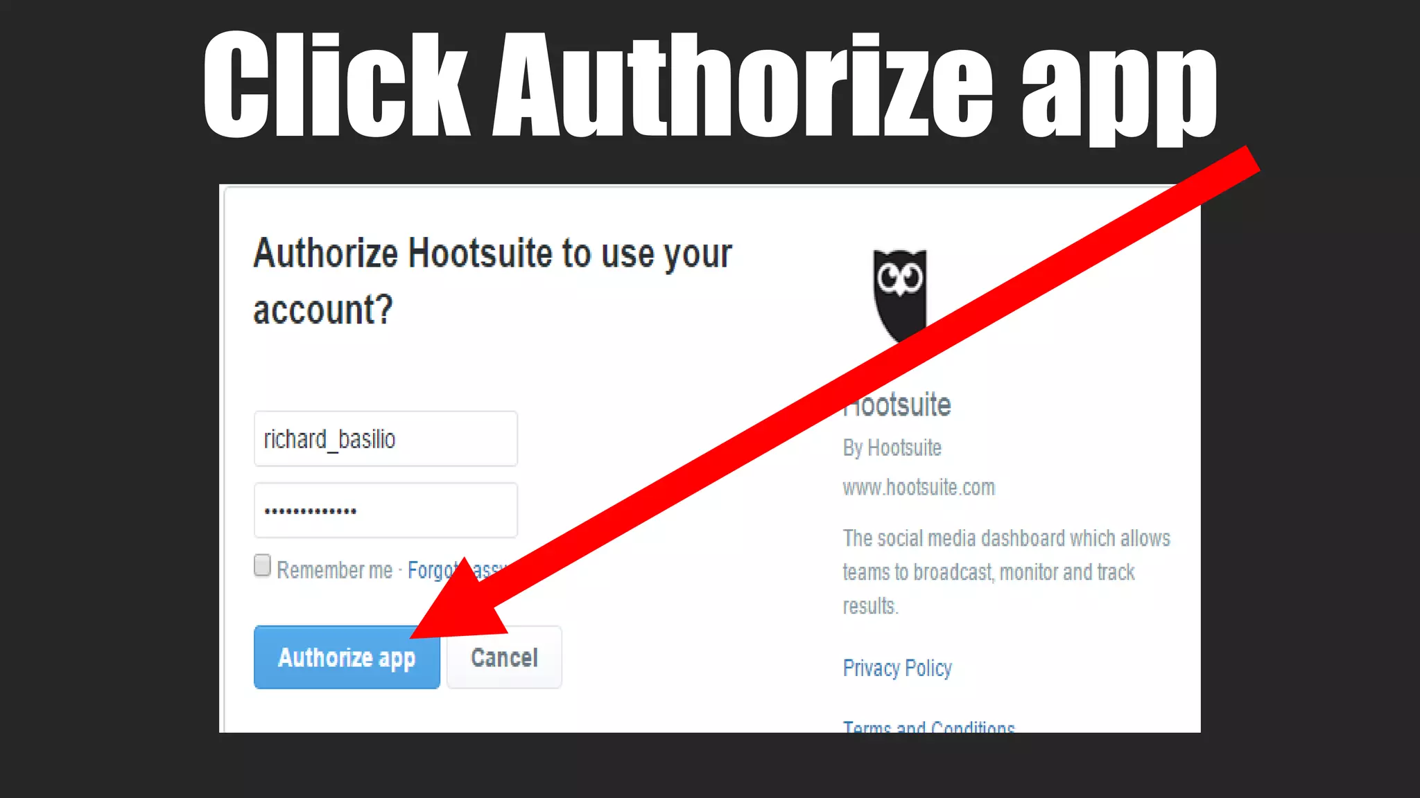 Click Authorize app
 