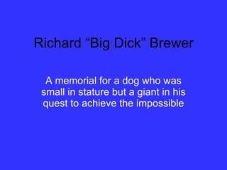 Richard “Big Dick” Brewer A memorial for a dog who was small in stature but a giant in his quest to achieve the impossible 