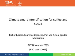 www.iita.orgA member of CGIAR consortium
Climate smart intensification for coffee and
cocoa
Richard Asare, Laurence Jassogne, Piet van Asten, Sander
Muilerman
24th November 2015
(R4D Week 2015)
 