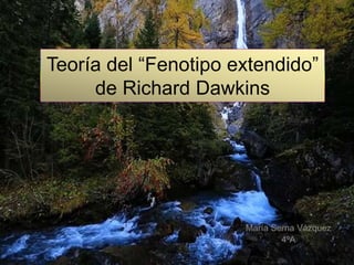 Teoría del “Fenotipo extendido”
de Richard Dawkins
María Serna Vázquez
4ºA
 