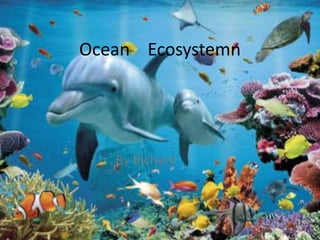 Ocean Ecosystemn
By Richard
 