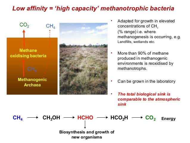 The Impact Of Agriculture On The Soil Methane Sink Richard