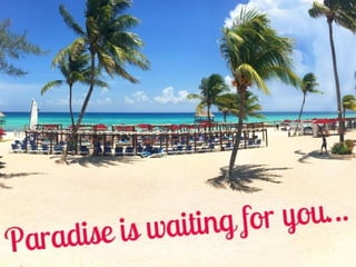 Richard houghton | PDF