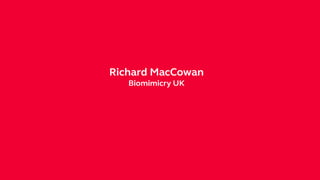 Richard MacCowan
Biomimicry UK
 