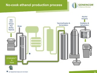 No-cook ethanol production process


                                                                         Alcohol
                                                                        recovery
   Milo
  Corn
  Wheat                                   Saccharification &          Distillation &
   Rye                                      fermentation              dehydration
                 Water
  Barley
 Tapioca

                                                                         STORAGE
                                                                           TANK




                     SLURRY
 GRINDING             TANK




                                      *
STARGEN™
     &
   Yeast
                                                               DDGS


    E
  pH adjustment steps are not shown                                                    10
 