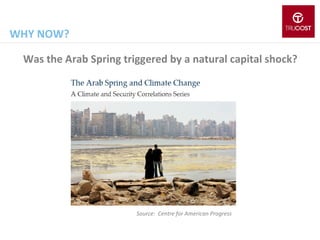 WHY NOW?
Was the Arab Spring triggered by a natural capital shock?

Source: Centre for American Progress

 