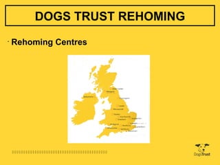 DOGS TRUST REHOMING
•
    Rehoming Centres




    
 