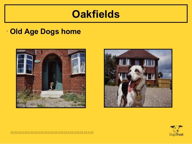 Dogs Trust Reception Days Dogs Trust Reception Days