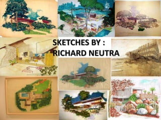 SKETCHES BY :
RICHARD NEUTRA

 