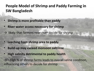 People Model of Shrimp and Paddy Farming in
    SW Bangladesh


     Shrimp is more profitable than paddy

     River water access necessary for shrimp
→ likely that farmers near river decide for shrimp


     Leeching from shrimp area to paddy

     Build-up may exceed monsoon saltrinse

     High salinity detrimental to paddy health
→ high % of shrimp farms leads to overall saline condition,
influencing others to decide for shrimp
 