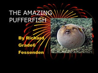 THE AMAZING PUFFERFISH By Richard Grade6 Fessenden 