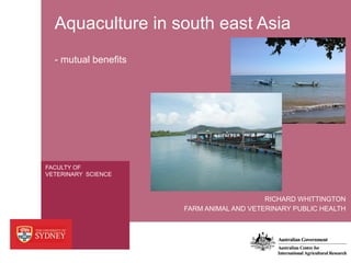 FACULTY OF
VETERINARY SCIENCE
Aquaculture in south east Asia
- mutual benefits
FARM ANIMAL AND VETERINARY PUBLIC HEALTH
RICHARD WHITTINGTON
 