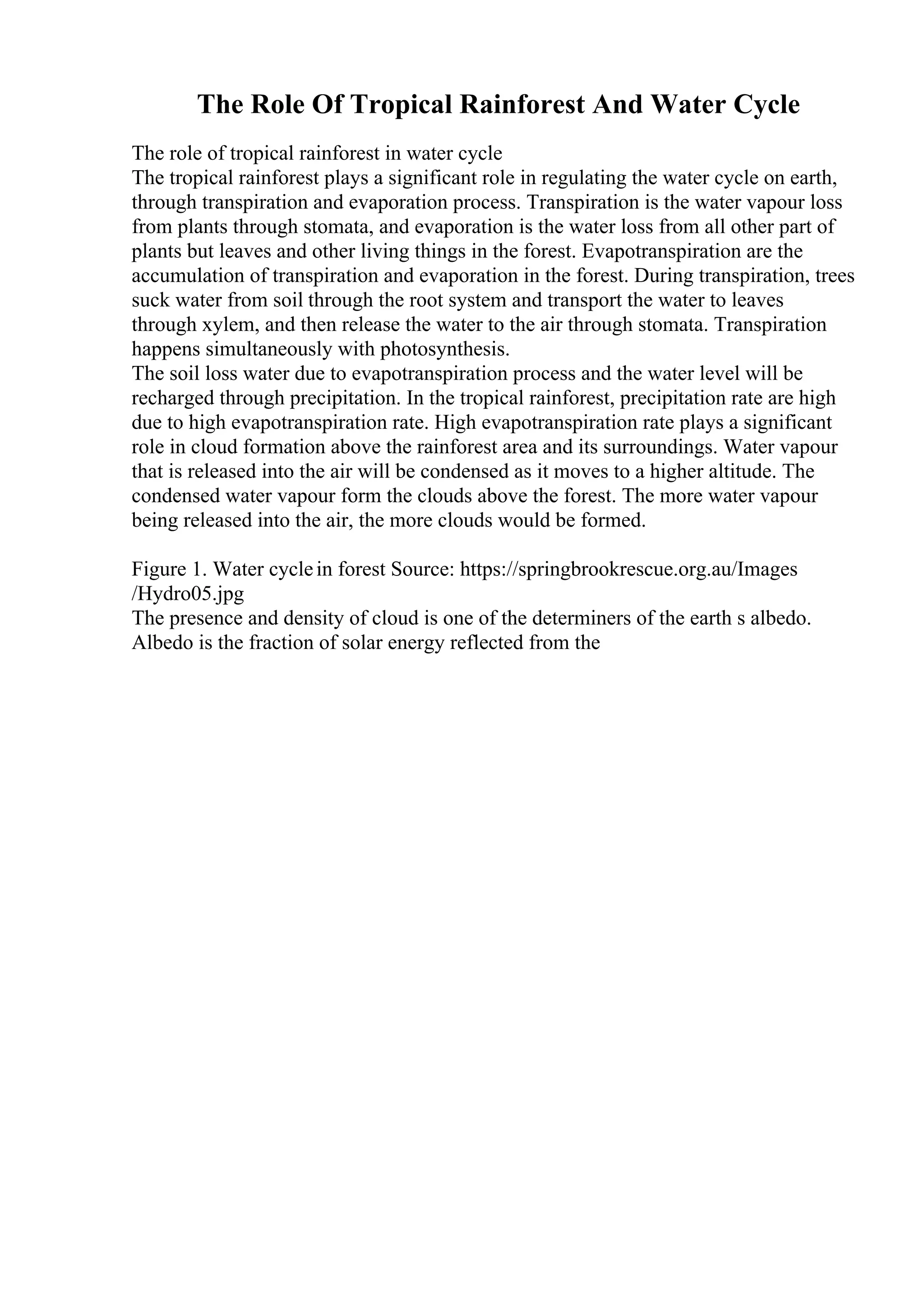 The Role Of Tropical Rainforest And Water Cycle
The role of tropical rainforest in water cycle
The tropical rainforest plays a significant role in regulating the water cycle on earth,
through transpiration and evaporation process. Transpiration is the water vapour loss
from plants through stomata, and evaporation is the water loss from all other part of
plants but leaves and other living things in the forest. Evapotranspiration are the
accumulation of transpiration and evaporation in the forest. During transpiration, trees
suck water from soil through the root system and transport the water to leaves
through xylem, and then release the water to the air through stomata. Transpiration
happens simultaneously with photosynthesis.
The soil loss water due to evapotranspiration process and the water level will be
recharged through precipitation. In the tropical rainforest, precipitation rate are high
due to high evapotranspiration rate. High evapotranspiration rate plays a significant
role in cloud formation above the rainforest area and its surroundings. Water vapour
that is released into the air will be condensed as it moves to a higher altitude. The
condensed water vapour form the clouds above the forest. The more water vapour
being released into the air, the more clouds would be formed.
Figure 1. Water cyclein forest Source: https://springbrookrescue.org.au/Images
/Hydro05.jpg
The presence and density of cloud is one of the determiners of the earth s albedo.
Albedo is the fraction of solar energy reflected from the
 