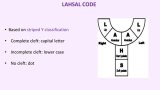 Lahsal Classification Examples CLEFT LIP AND PALATE | PPTX