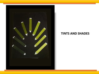 TINTS AND SHADES
 