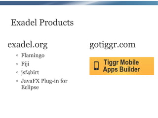 Exadel Products

exadel.org                 gotiggr.com
  ◦   Flamingo
  ◦   Fiji
  ◦   jsf4birt
  ◦   JavaFX Plug-in for
      Eclipse
 