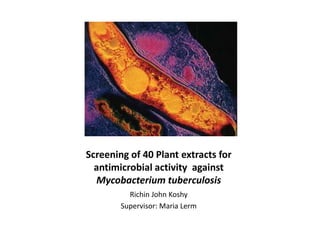 Screening of 40 Plant extracts for antimicrobial activity  against Mycobacterium tuberculosis Richin John Koshy Supervisor: Maria Lerm  