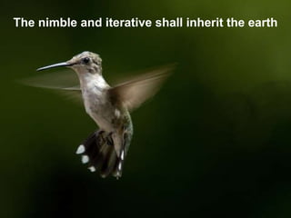 The nimble and iterative shall inherit the earth 