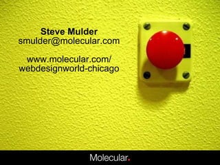 Steve Mulder [email_address] www.molecular.com/ webdesignworld-chicago 