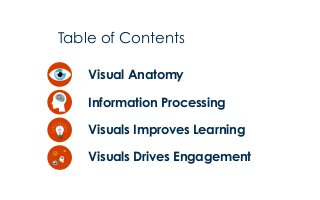 Table of Contents
Visual Anatomy
Information Processing
Visuals Improves Learning
Visuals Drives Engagement
 