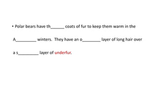 • Polar bears have th______ coats of fur to keep them warm in the
A_________ winters. They have an o________ layer of long hair over
a s_________ layer of underfur.
 