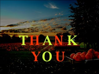 T H A N K  Y O U 
