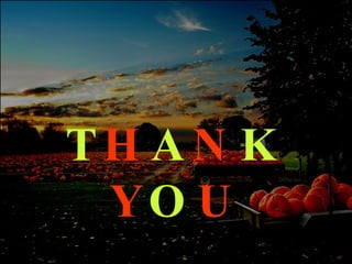 T H A N K  Y O U 