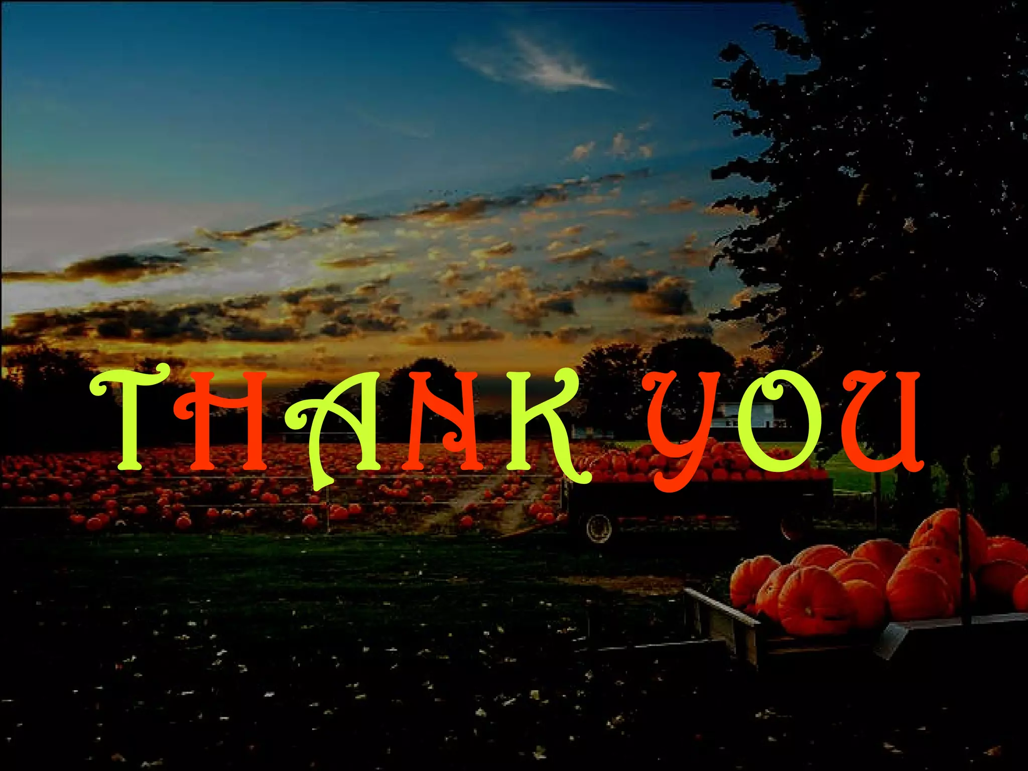 T H A N K  Y O U 