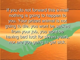 If you do not forward this e-mail nothing is going to happen to you. Your prized animal is not going to die, you wont be sacked from your job, you wont be having bad luck for seven years, nor are you going to get sick. 