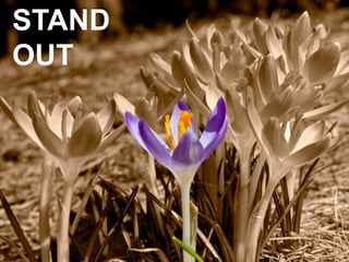 STAND
OUT
 